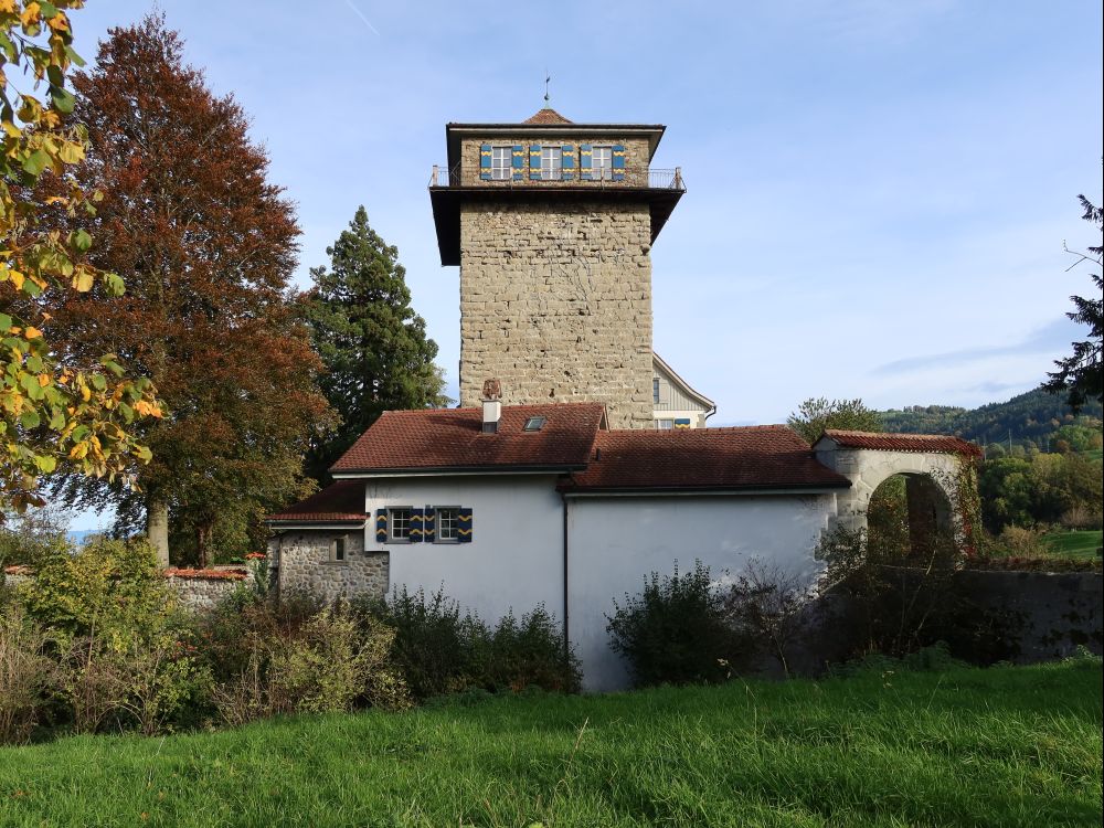 Schloss Sulzberg