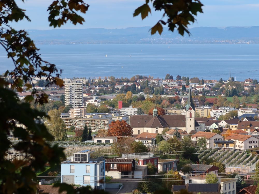 Goldach und Bodensee