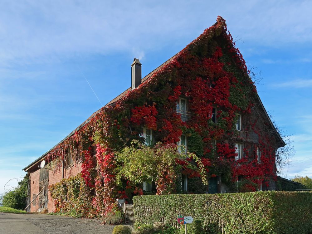 herbstlicher Hausgiebel