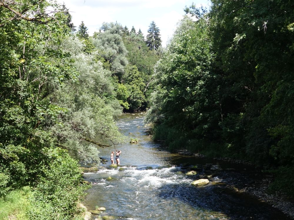 Badenixen in der Wutach