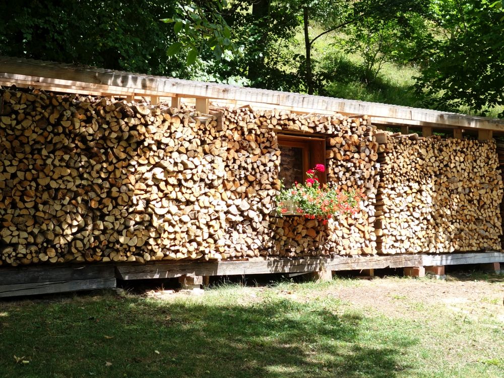 Brennholz mit Fenster