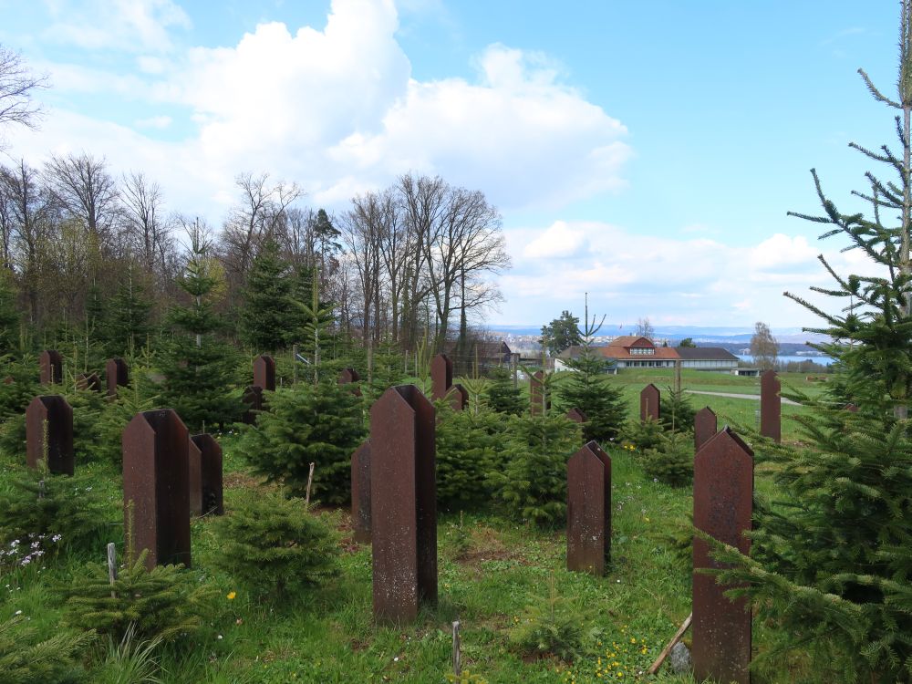 Panzersperren an der Alpstrasse