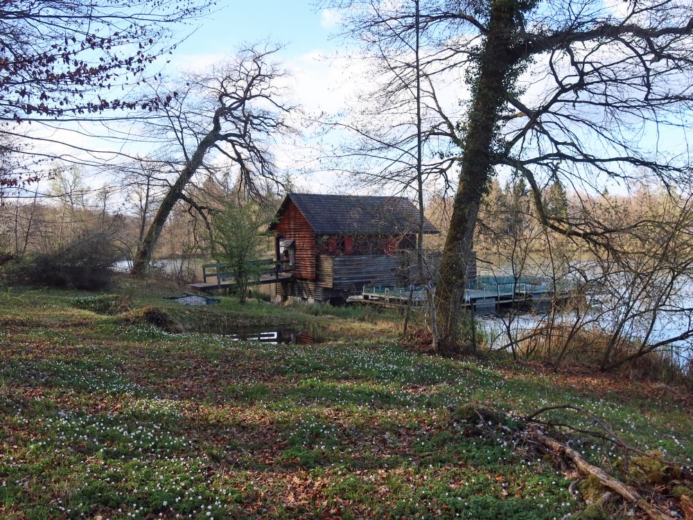 Hütte am Groossweier