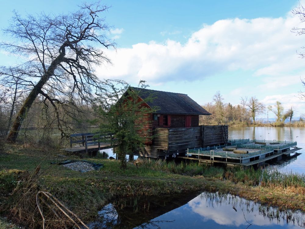 Hütte am Groossweier