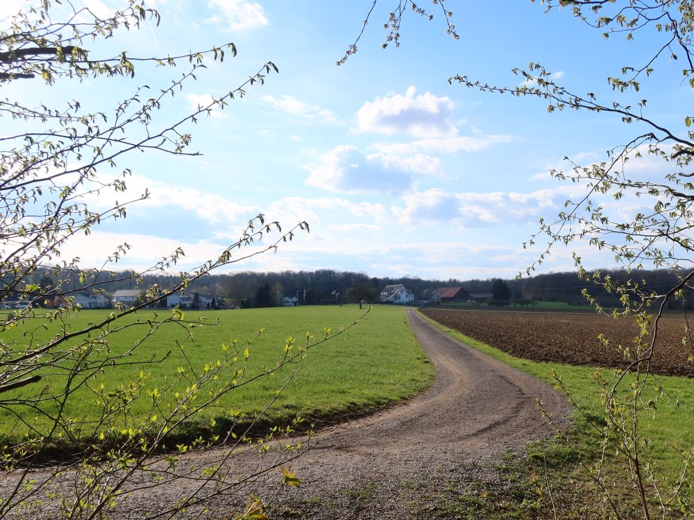 Blick Richtung Bätershausen