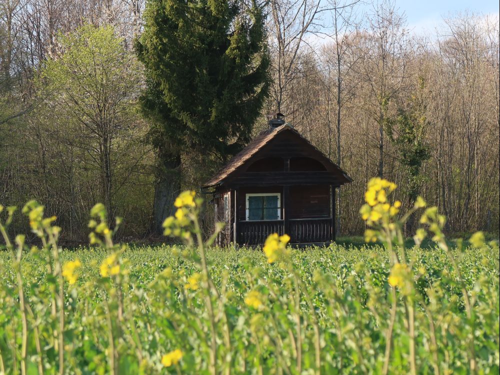 Hütte bei der Wildsauenhütte