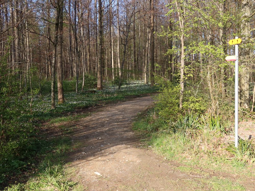 Wanderweg