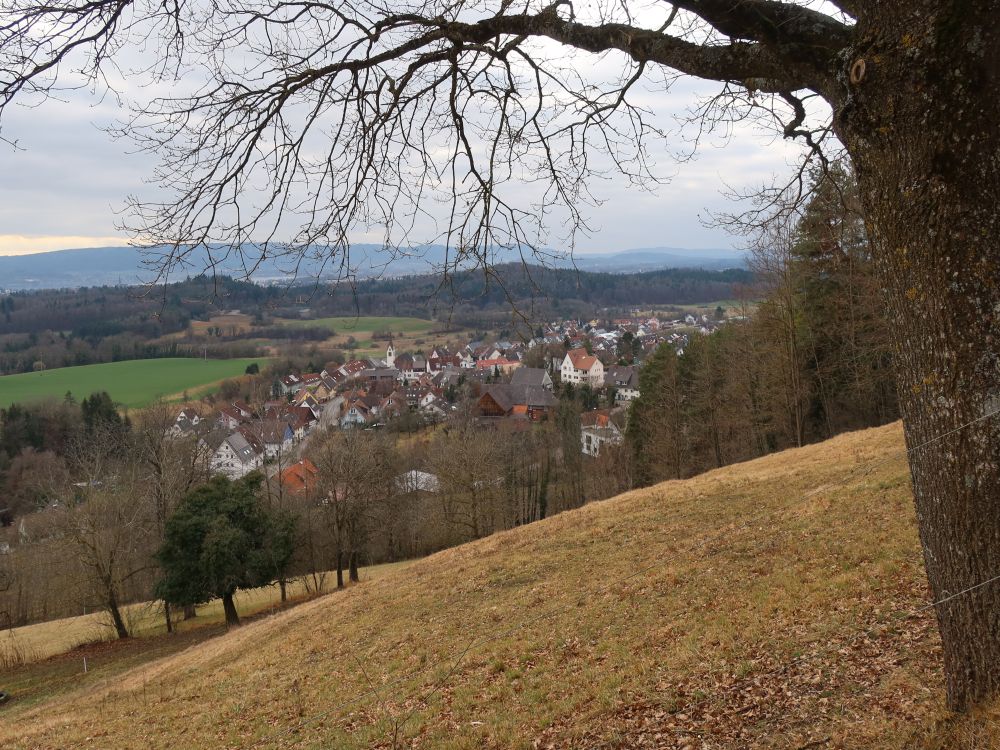 Blick auf Güttungen