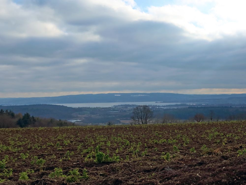 Blick auf Mindelsee und Gnadensee