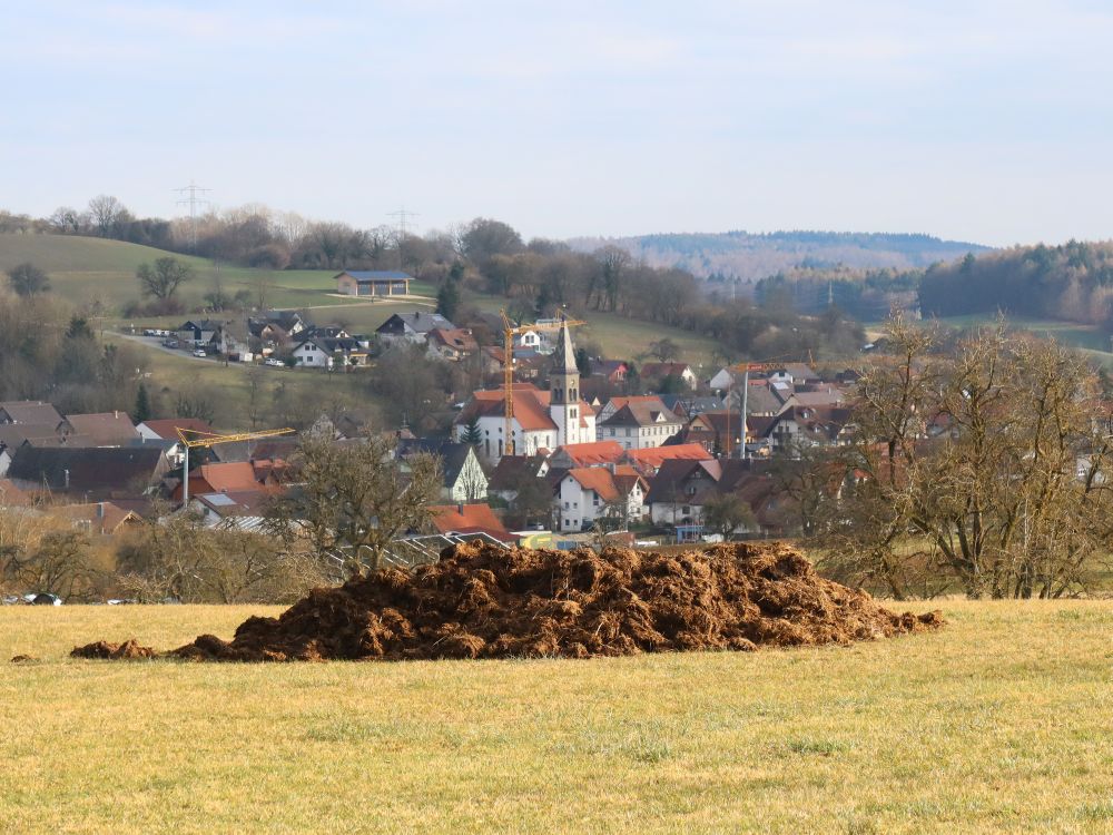 Liggeringen überm Misthaufen