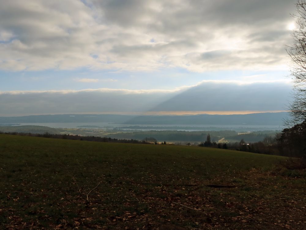 Mettnau im Bodensee