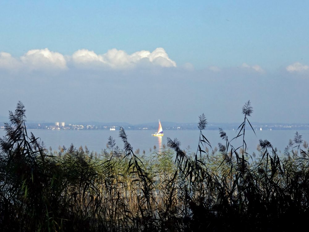 Blick Richtung Immenstaad