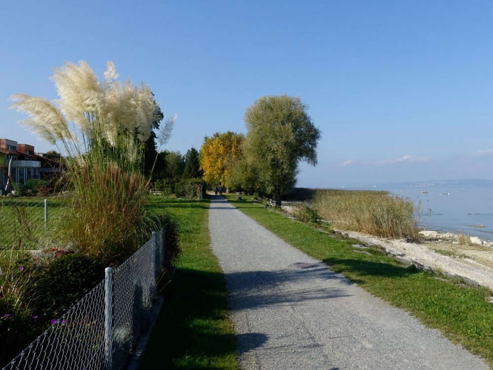 Bodensee-Rundweg