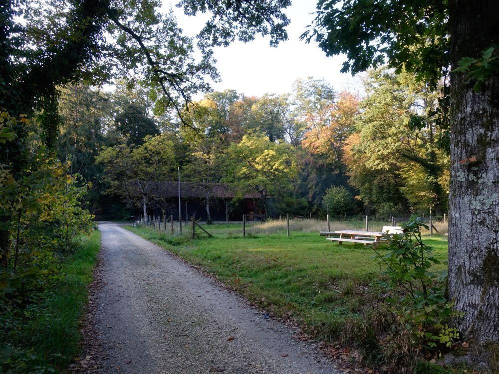 Hütte am Waldweg