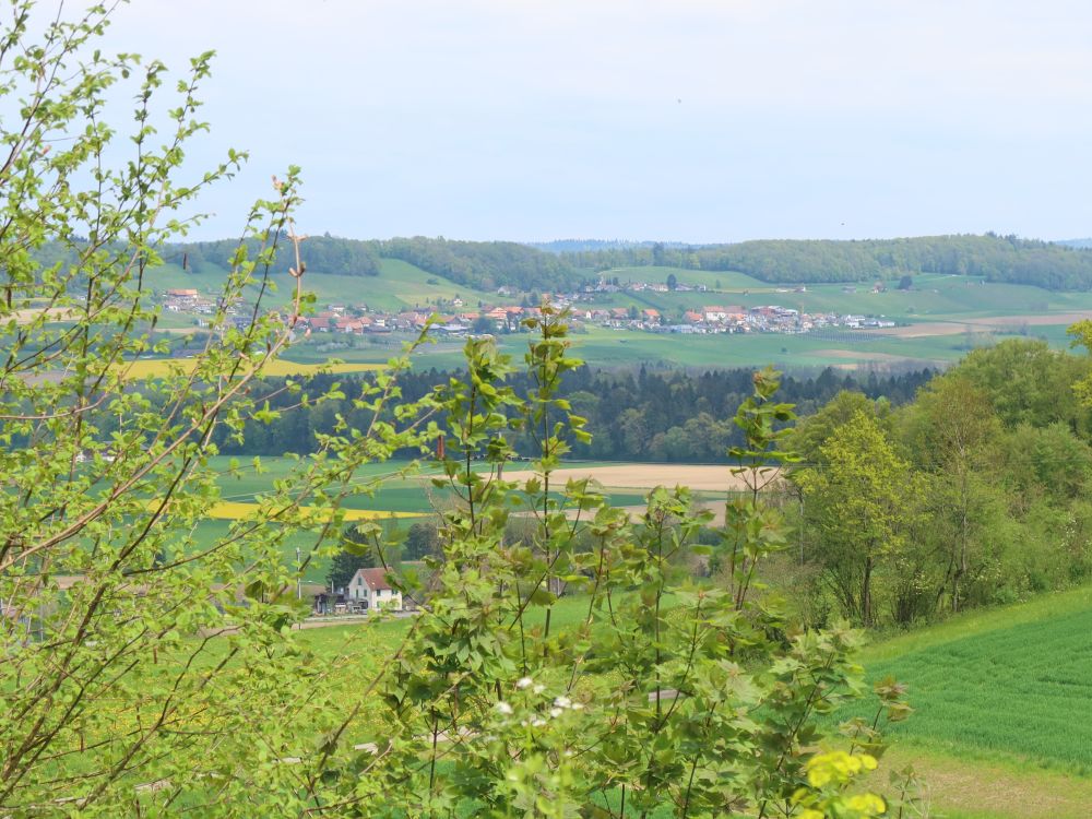 Blick über die Thur