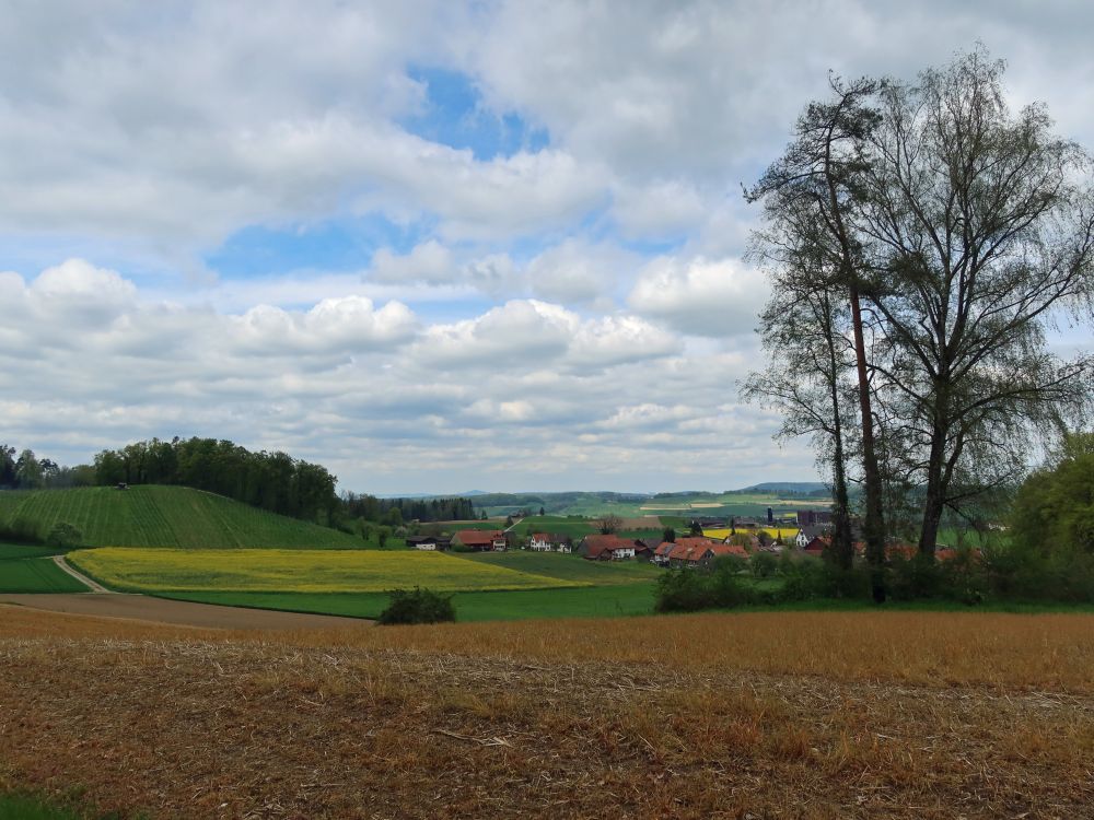 Chressenberg und Eschlikon