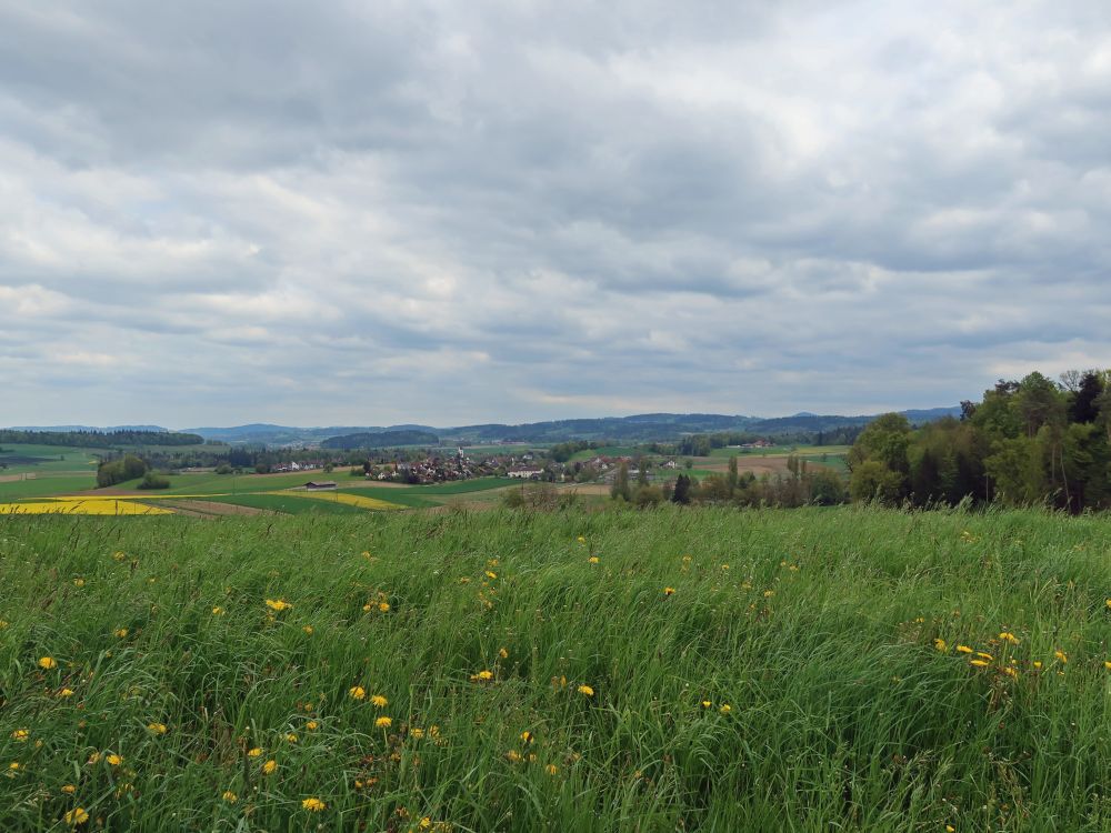 Blick Richtung Welsikon