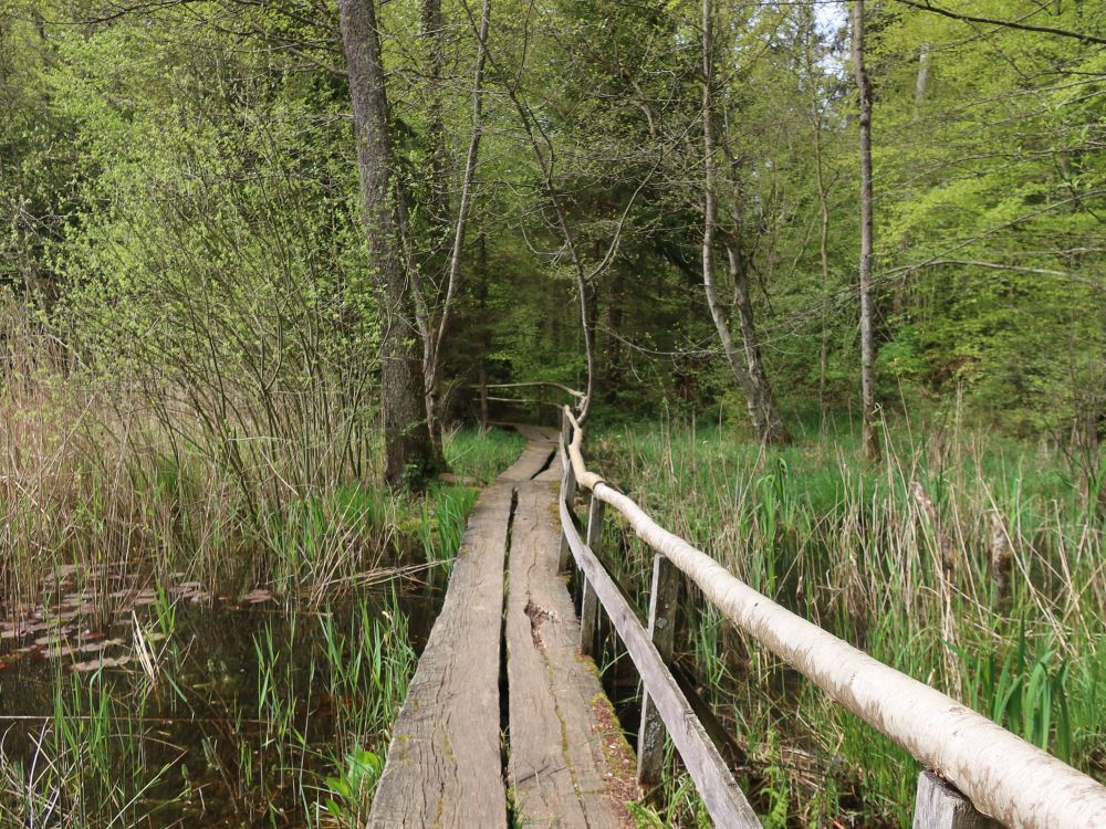 Holzsteg am Gurisee