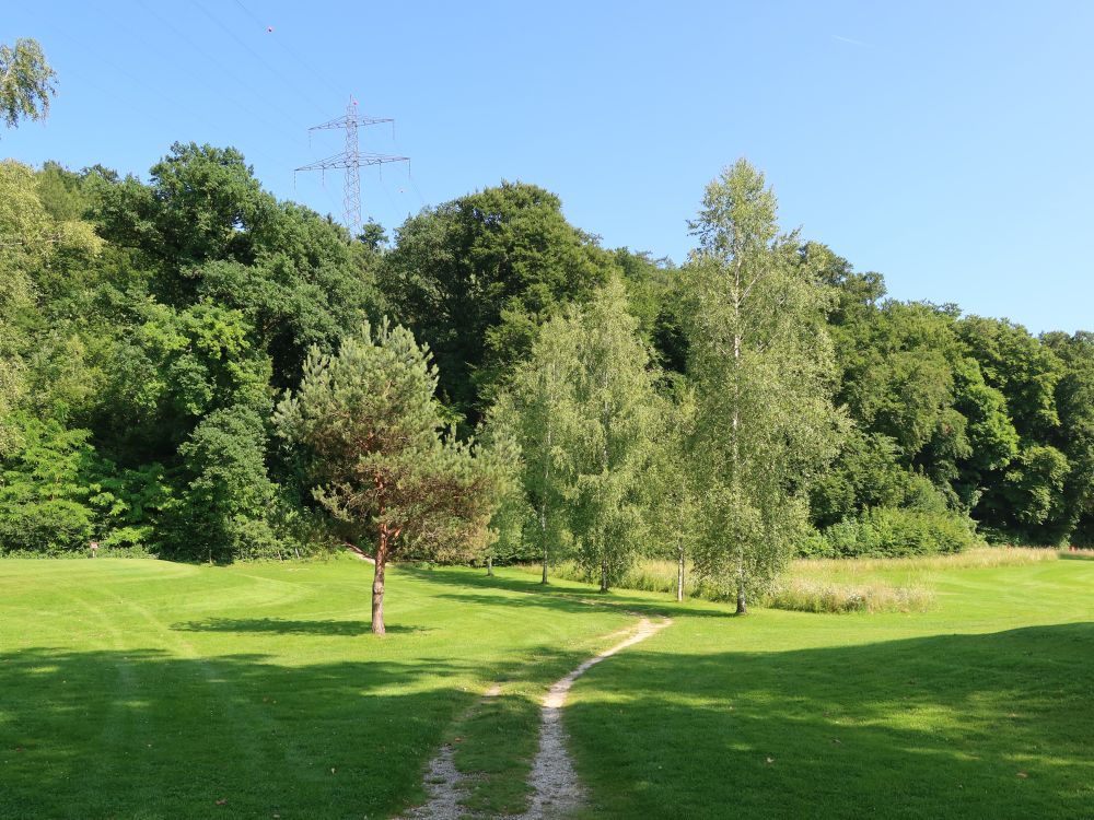 Pfad am Golfplatz