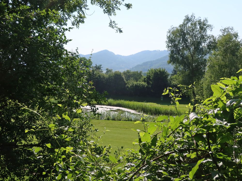 Teich im Golfplatz