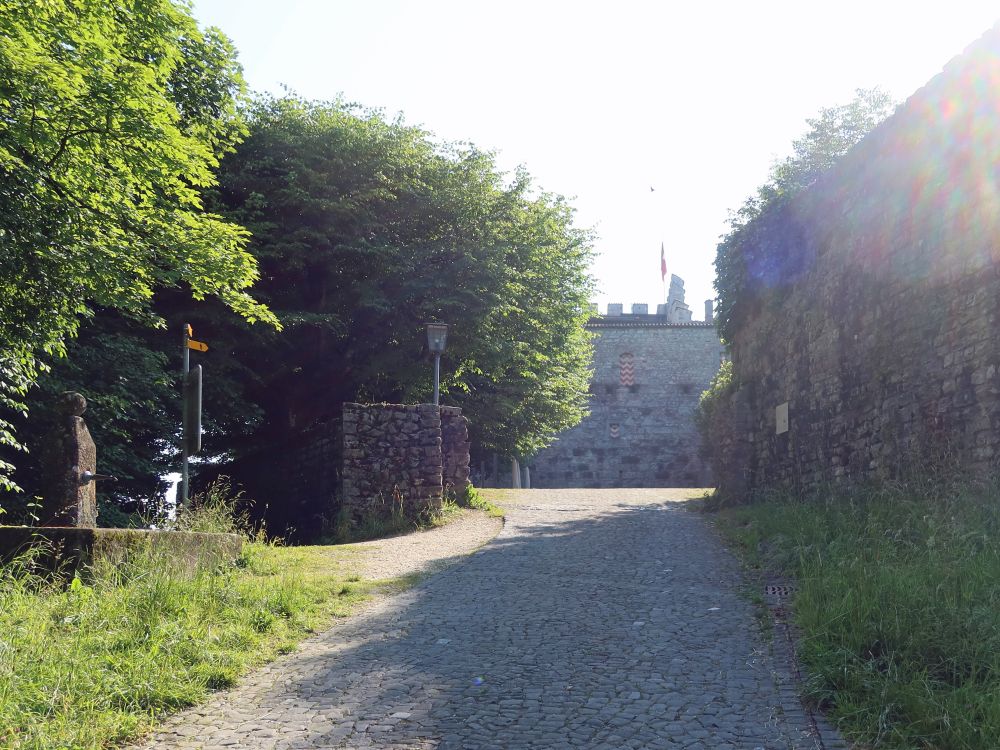 Brunnen am Burgeingang