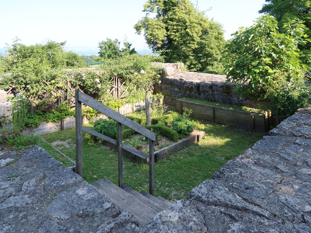 kleiner Garten zwischen Mauern