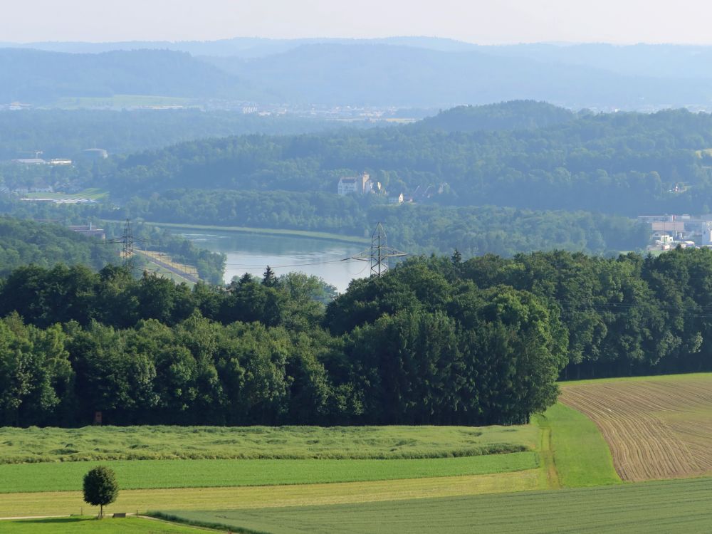 Schloss Wildenstein über der Aare