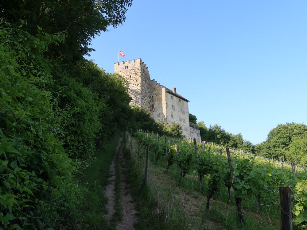 Schloss Habsburg