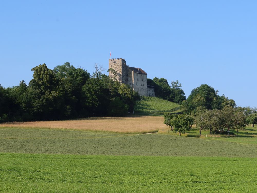 Schloss Habsburg