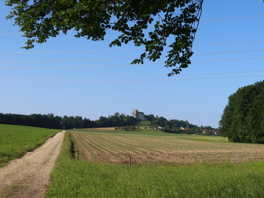 Schloss Habsburg