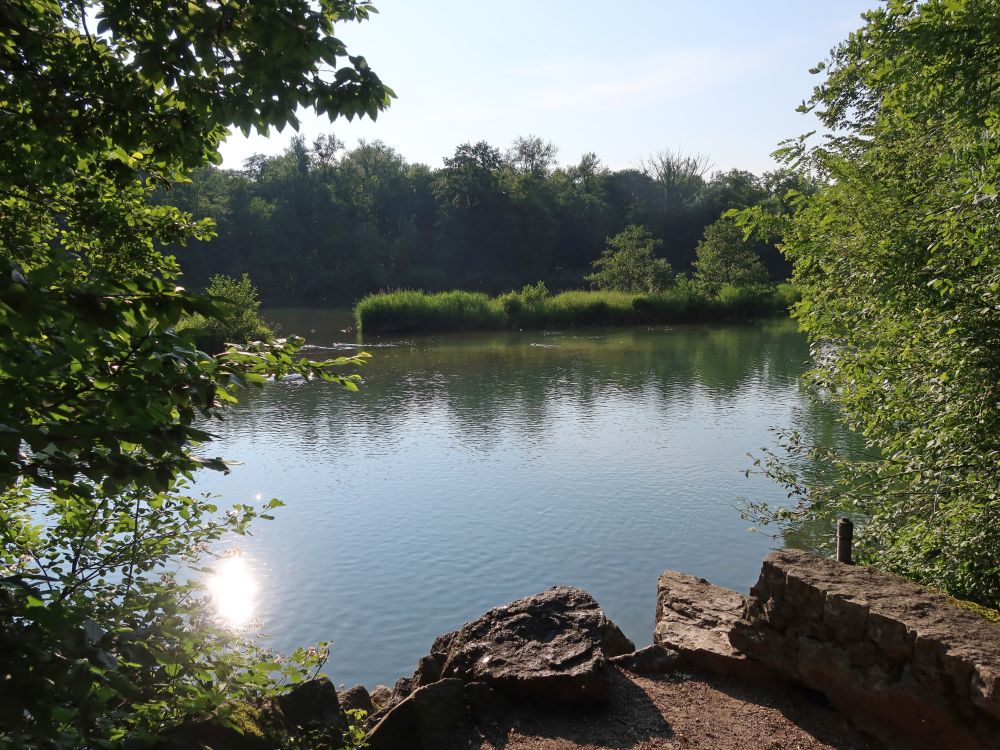 Aare