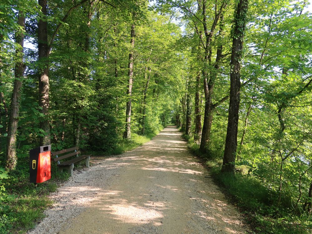 Weg an der Aare