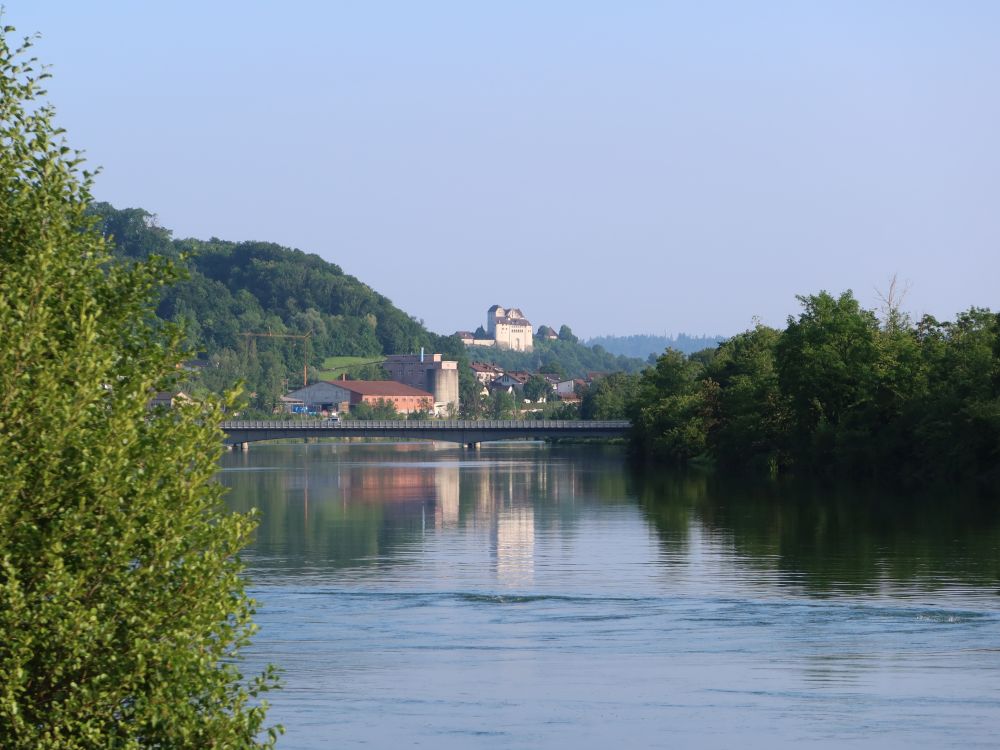 Aare mit Schloss Wildegg