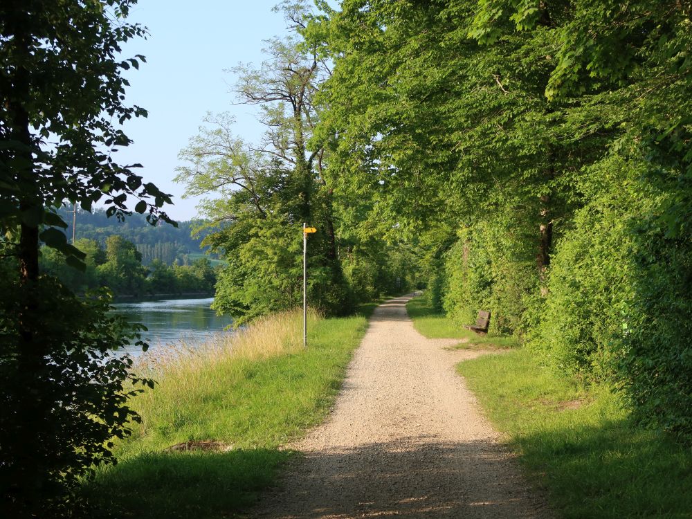 Weg an der Aare