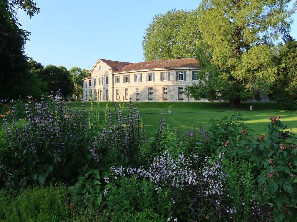 Privat-Klinik im Park