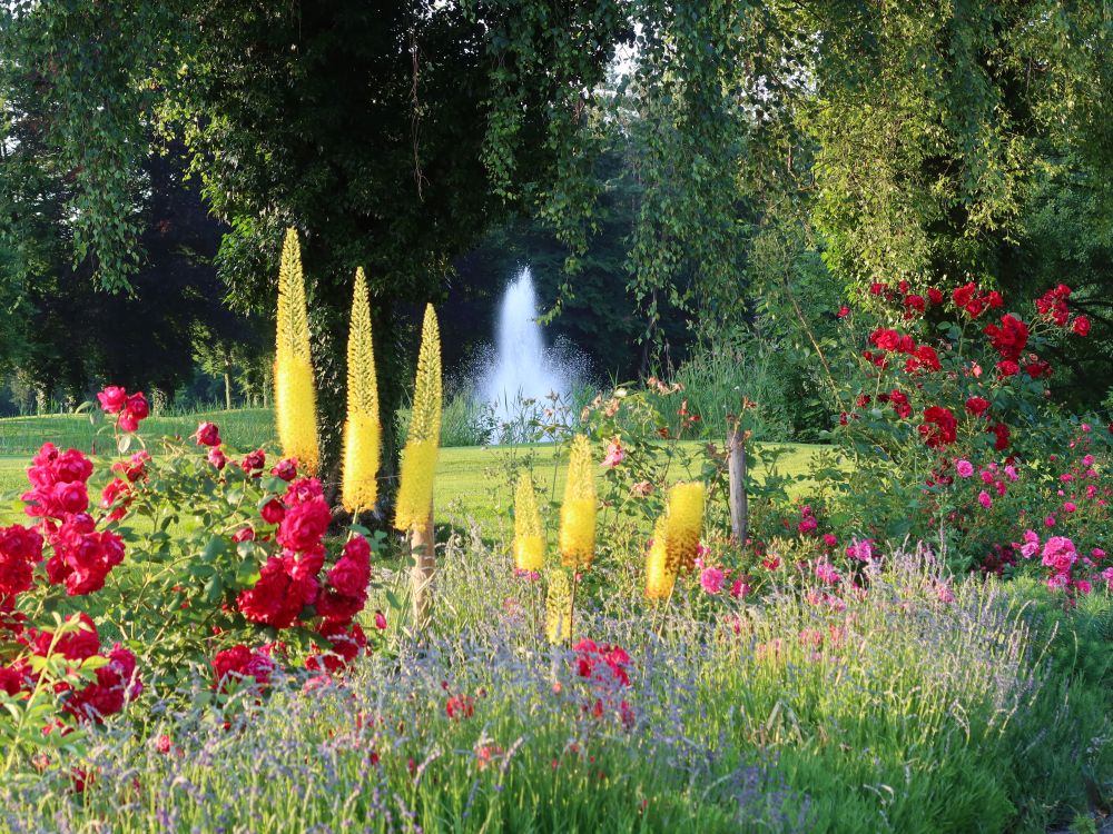 Blüten und Fontäne