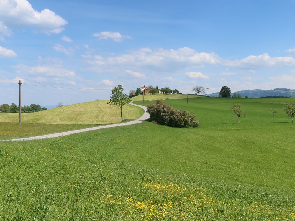 Blick Richtung Schloss Dottenwil