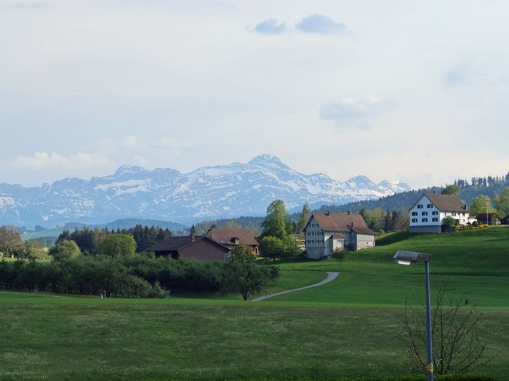 Säntis