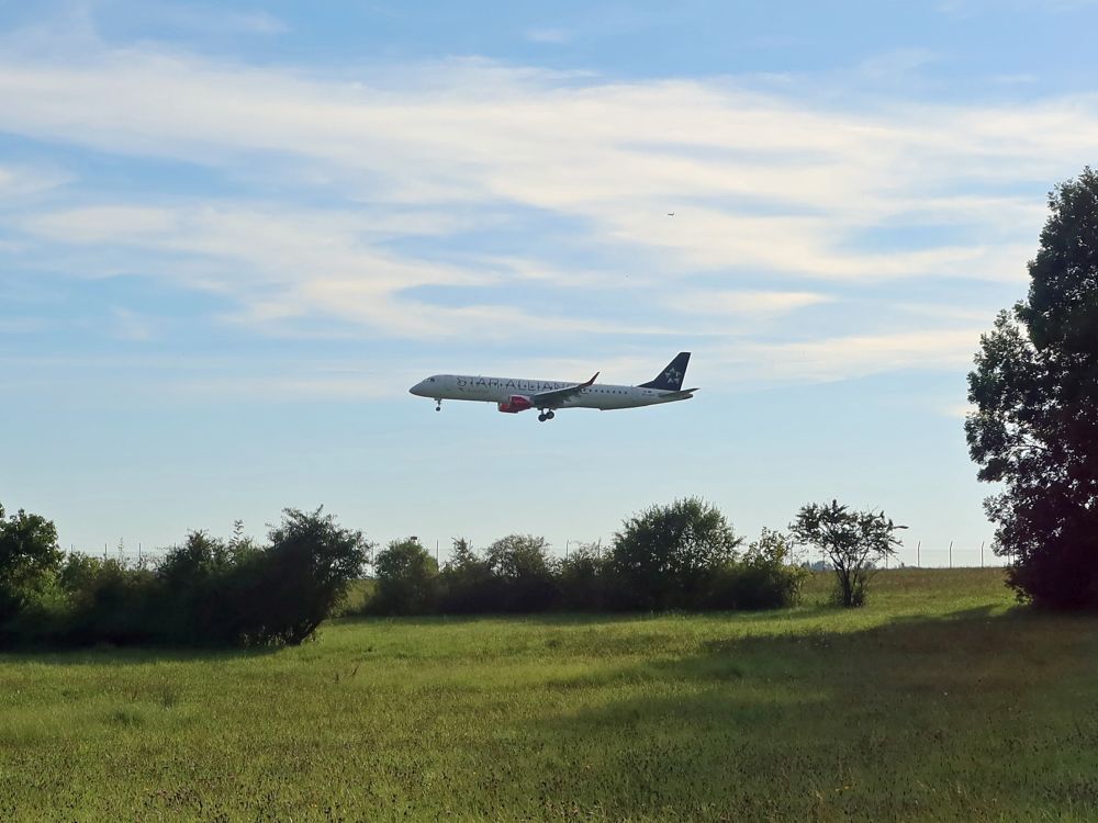 Flugzeug im Landeanflug