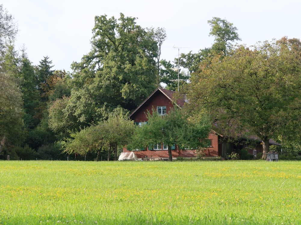Bauernhof Im Hell