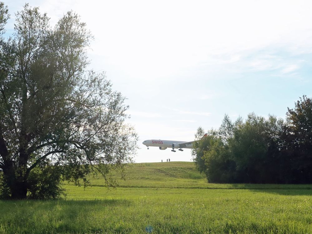 Flugzeug im Landeanflug