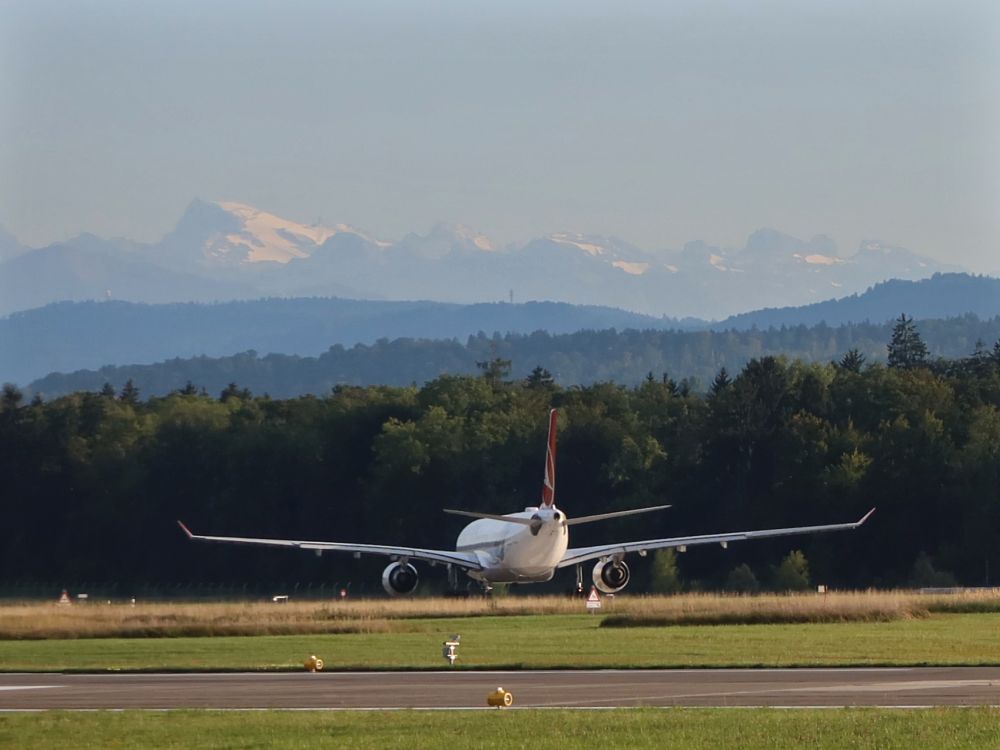Flugzeug mit Titlis u.a. am Horizont
