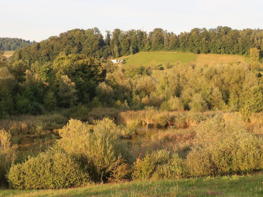 Blick Richtung Hungerbüel
