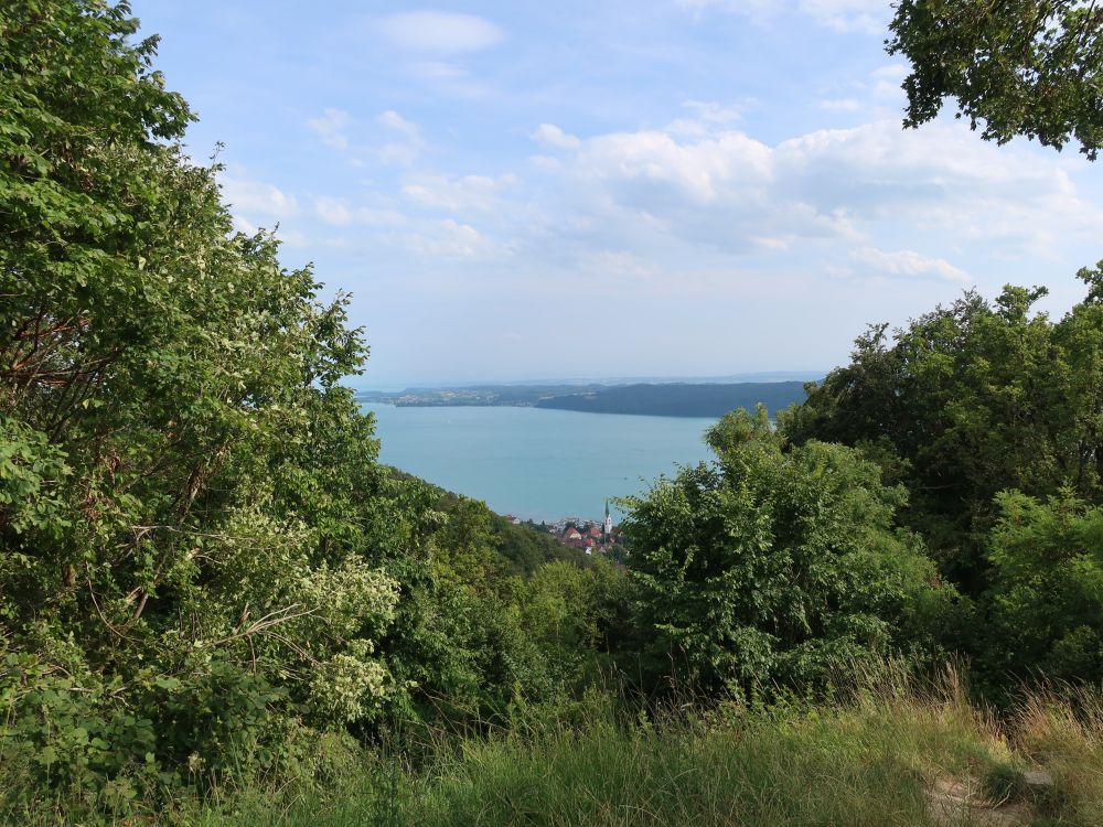 Blick zum Überlinger See