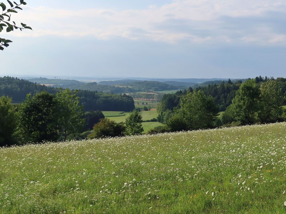 Weitblick