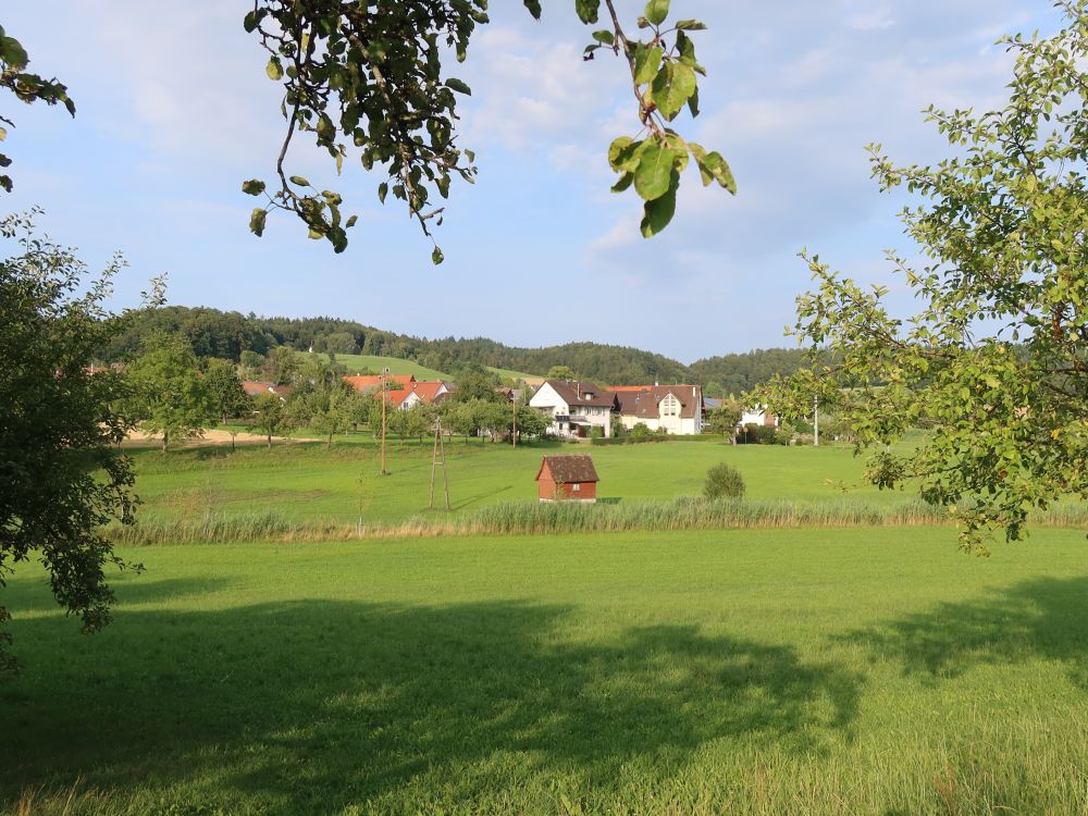 Blick Richtung Nesselwangen