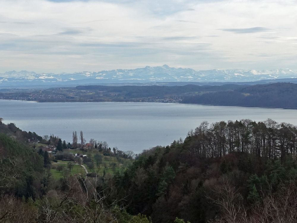 Überlinger See und Säntis