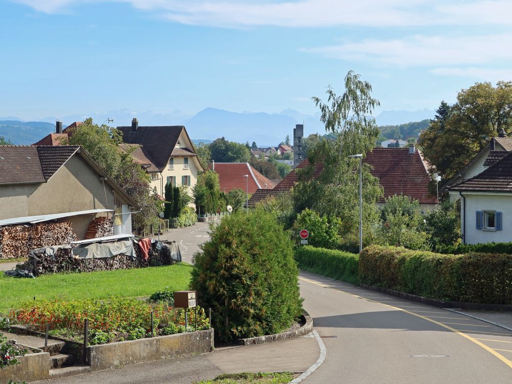 Hombergstrasse mit Rigi am Horizont