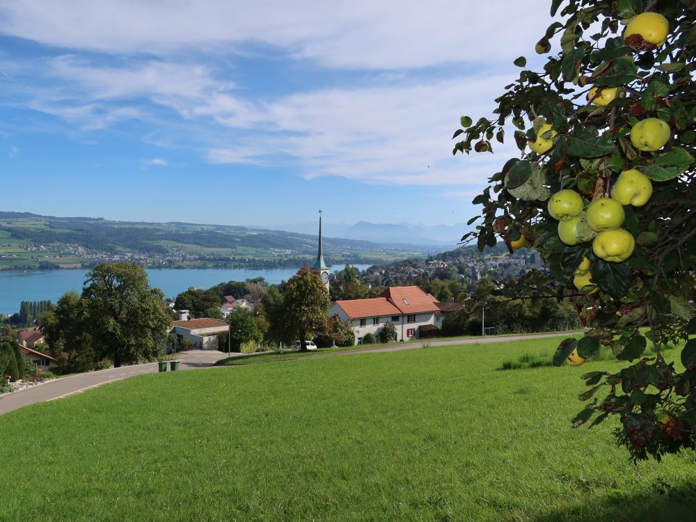 Hallwilersee und Quitten