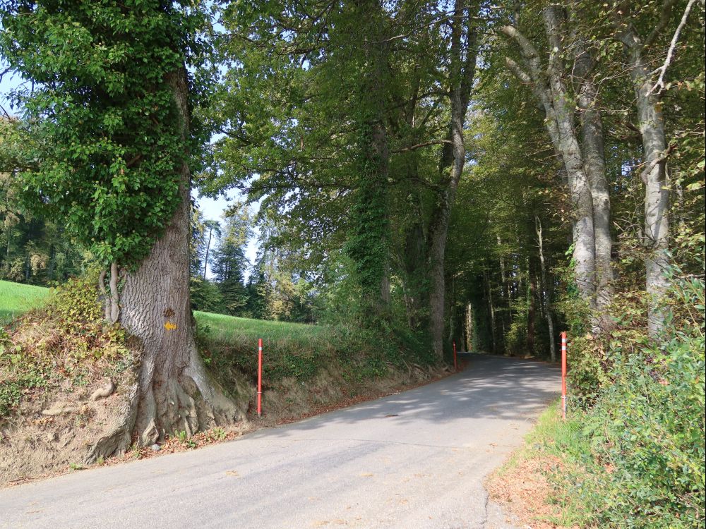 Hombergstrasse bei Stääliweid